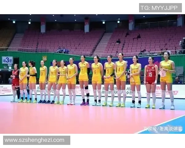 上海排球队在杯赛中的实力展现与未来发展潜力分析