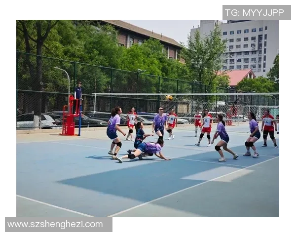 北京排球队在精英赛中的比赛经验与表现分析