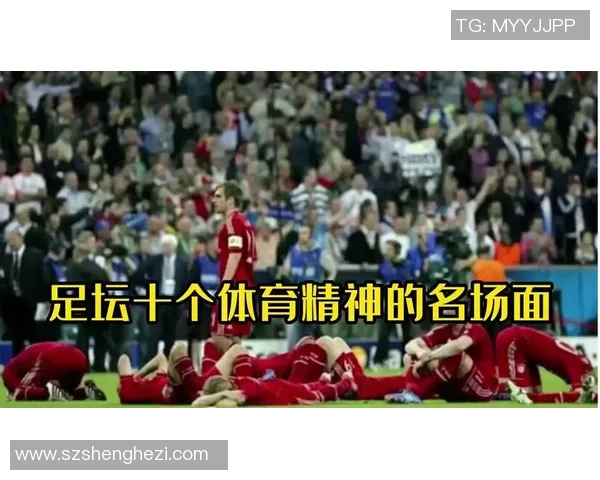 八一年的足球明星盘点与他们的辉煌成就回顾