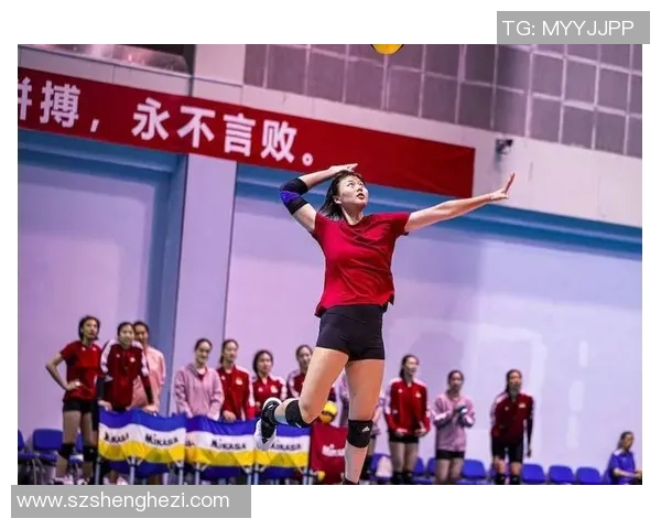 排球力量排行榜揭晓北京排球队荣登第八名展现强劲实力