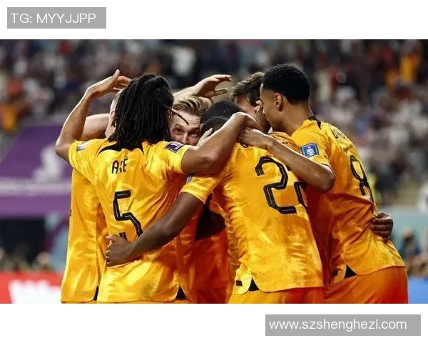 荷兰足球范性探讨：从战术创新到青训体系的全景分析