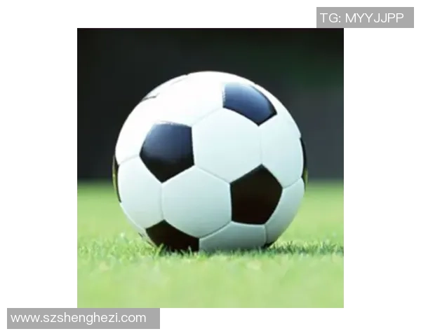 足球护板的重要性及其对运动员安全的影响分析 足球护板的重要性及其对运动员安全的影响分析
