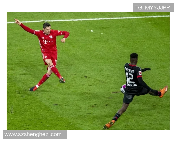 足球小术语大揭秘：从场上术语到球迷用语的全面解析与应用