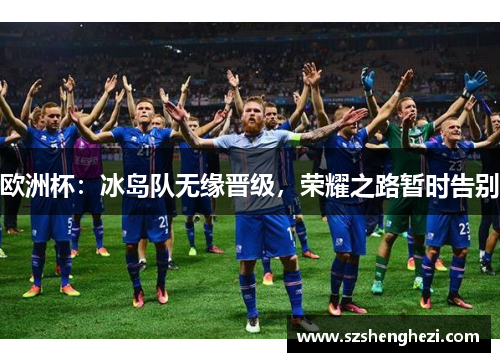 欧洲杯：冰岛队无缘晋级，荣耀之路暂时告别