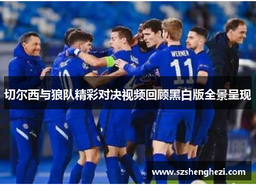 切尔西与狼队精彩对决视频回顾黑白版全景呈现