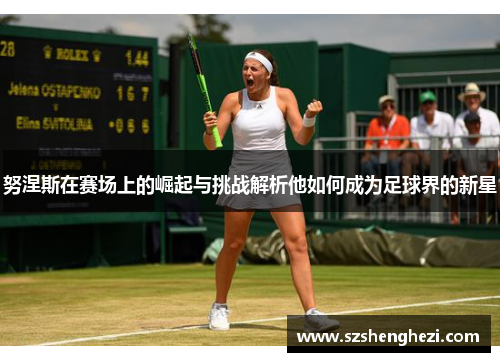 努涅斯在赛场上的崛起与挑战解析他如何成为足球界的新星