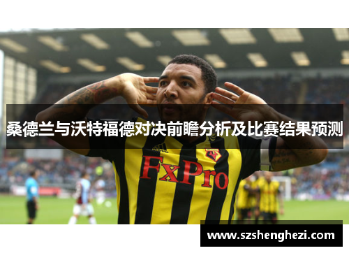 桑德兰与沃特福德对决前瞻分析及比赛结果预测