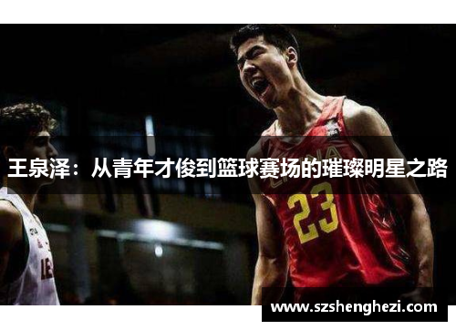 王泉泽：从青年才俊到篮球赛场的璀璨明星之路