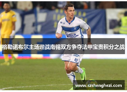 格勒诺布尔主场迎战南锡双方争夺法甲宝贵积分之战