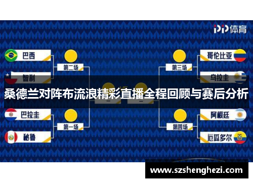 桑德兰对阵布流浪精彩直播全程回顾与赛后分析 桑德兰对阵布流浪精彩直播全程回顾与赛后分析
