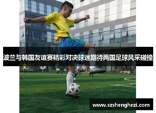 波兰与韩国友谊赛精彩对决球迷期待两国足球风采碰撞